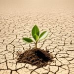 E não nos cansemos de fazer o bem