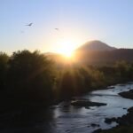 Agradeça a Deus pelo Seu cuidado e proteção diária.