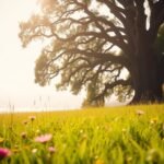 "Não desanime! Apenas confie em Deus"