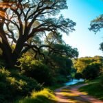 Salmo 26: Justiça e Integridade diante do Senhor.