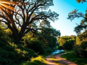 Salmo 26: Justiça e Integridade diante do Senhor.